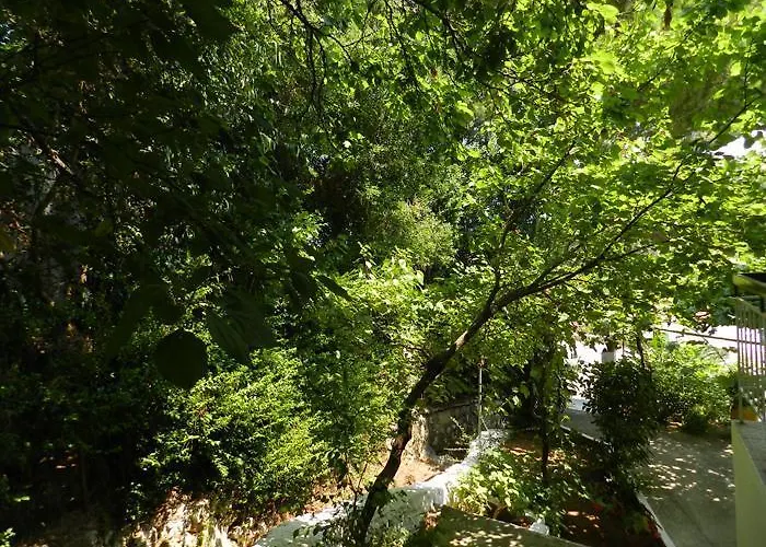 بيت ضيافة Georgia
