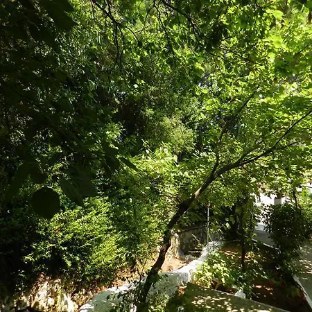 بيت ضيافة Georgia