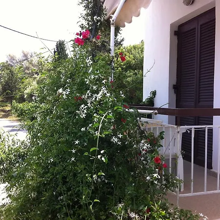 Georgia بيت ضيافة نِكيانا